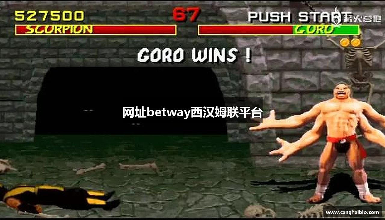 网址betway西汉姆联平台